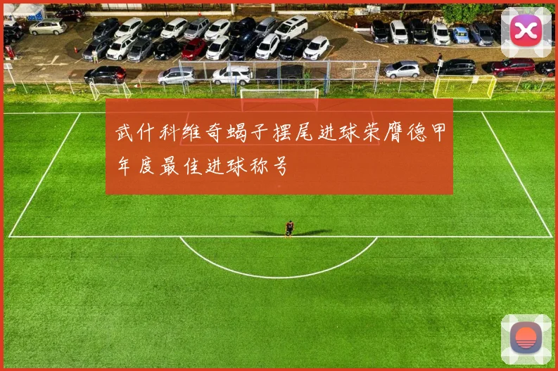 武什科维奇蝎子摆尾进球荣膺德甲年度最佳进球称号