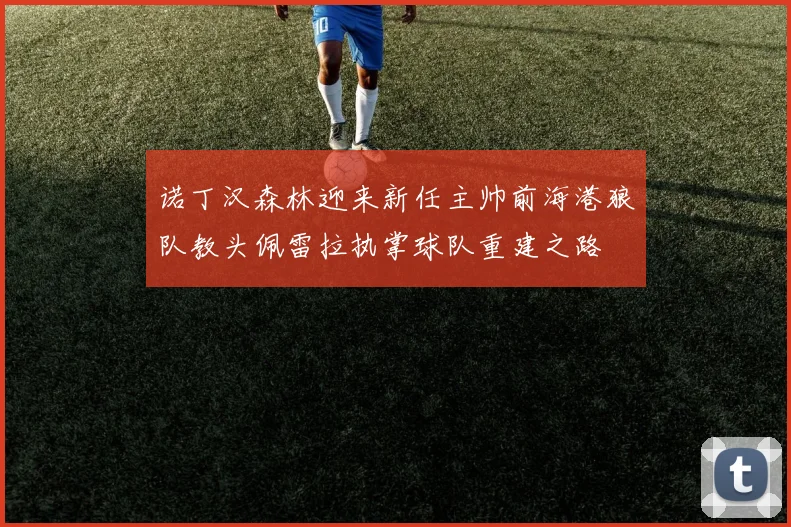 诺丁汉森林迎来新任主帅前海港狼队教头佩雷拉执掌球队重建之路